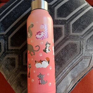 Disney "Cats" water bottle (like new!)